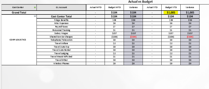 January and Cost Center Filter.PNG